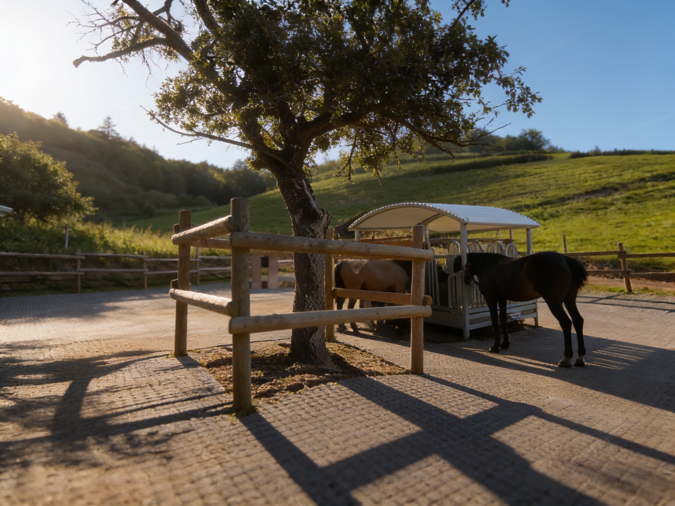 Equitation : La Ferme du Poney Bleu